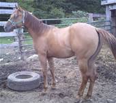 Sept 18 2024Sassy Cash Bar Miss